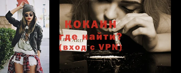 ГАЛЛЮЦИНОГЕННЫЕ ГРИБЫ Арсеньев