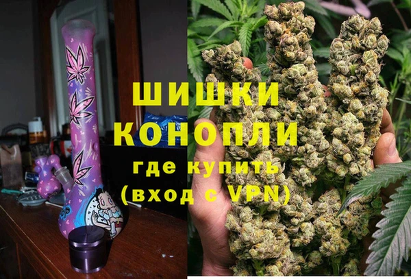 молекула духа Алексин