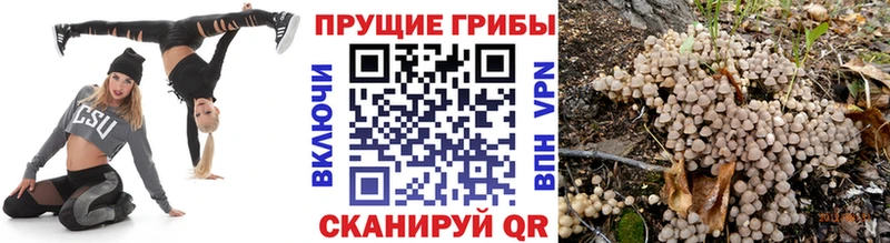 Псилоцибиновые грибы MAGIC MUSHROOMS Асбест